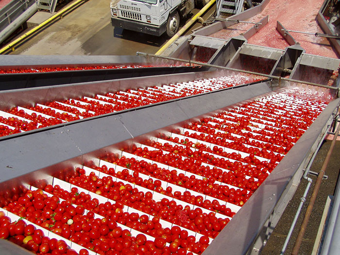 کارخانه رب گوجه روژیار